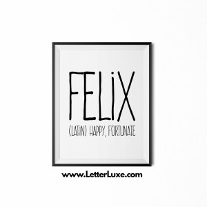 Felix Definition - Black Frame - Frente Font - Watermark